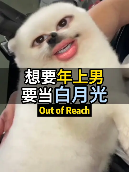 Adam底迪视频封面
