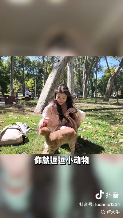 逗小动物示例