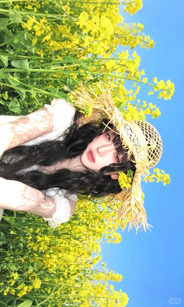 油菜花田 · 草帽横构图