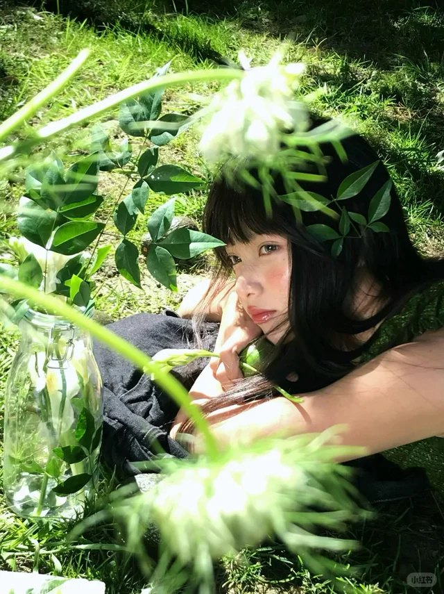 绿植前景 · 特写