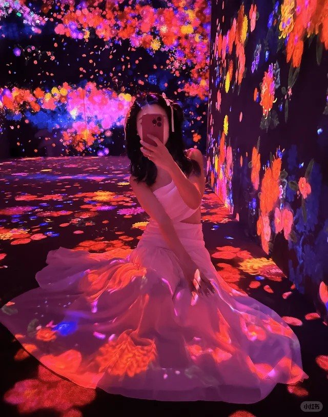 teamLab Planets / Borderless出片参考