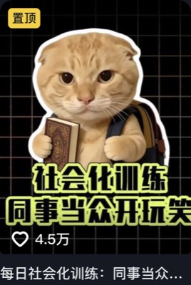 干嘛猫学习局 第2条作品